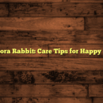 Angora Rabbit: Care Tips for Happy Pets