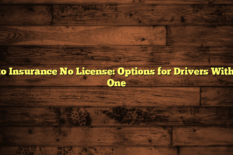 Auto Insurance No License: Options for Drivers Without One