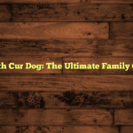 Black Mouth Cur Dog: The Ultimate Family Companion