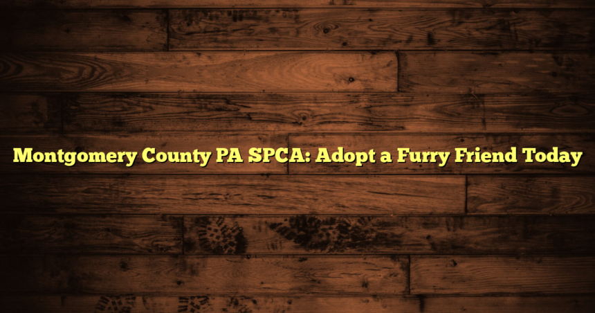 Montgomery County PA SPCA: Adopt a Furry Friend Today