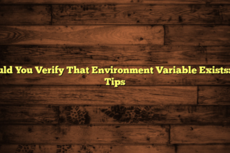 Should You Verify That Environment Variable Exists: Top Tips