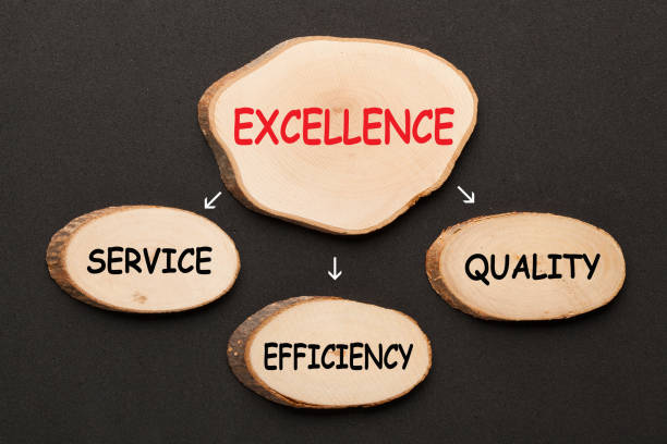Mastering Client Management and Service Excellence